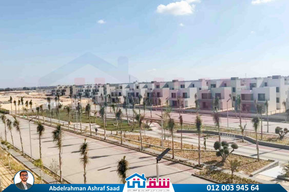 WhatsApp Image 2025-09-13 at 5.38.48 PM