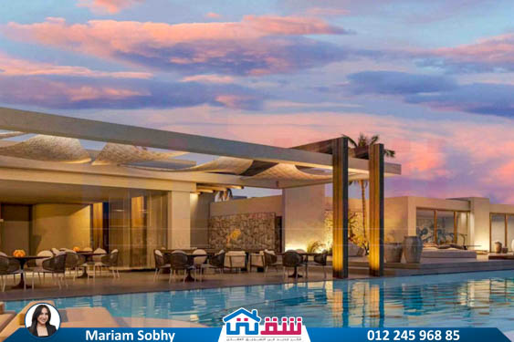 WhatsApp Image 2025-09-17 at 3.55.18 PM (1)