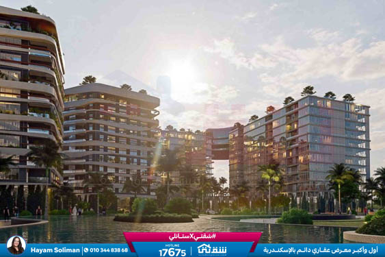 WhatsApp Image 2021-11-15 at 12.56.48 PM