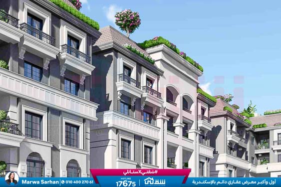 WhatsApp Image 2024-02-22 at 12.46.34 PM (1)