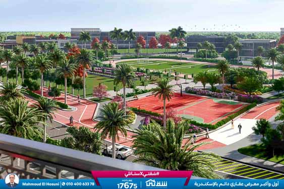 WhatsApp Image 2024-02-22 at 12.46.35 PM (1)