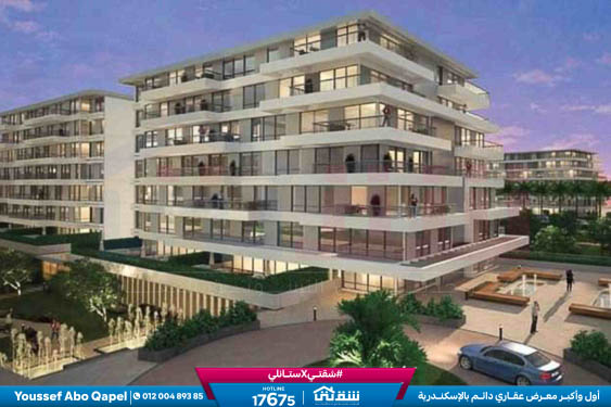 WhatsApp Image 2024-05-20 at 4.25.39 PM (1)