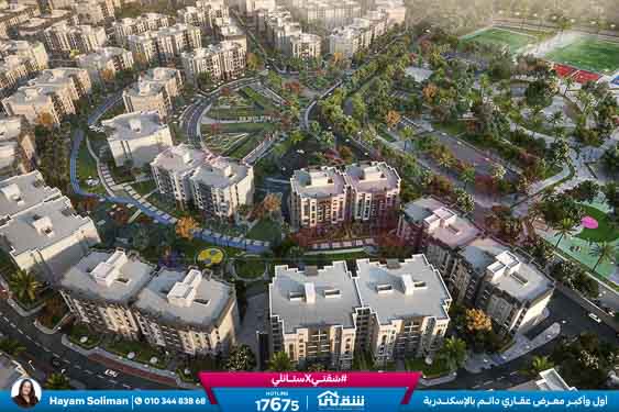 WhatsApp Image 2024-08-12 at 9.46.13 AM