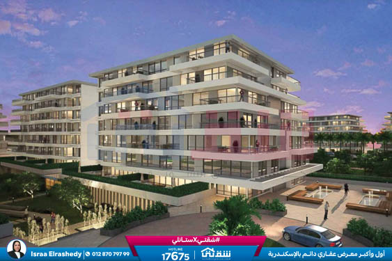 WhatsApp Image 2024-09-17 at 6.45.33 PM (1)