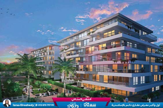 WhatsApp Image 2024-09-17 at 6.45.33 PM