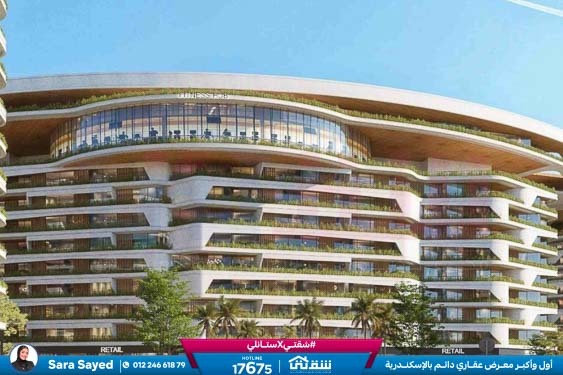 WhatsApp Image 2024-09-19 at 13.17.53_eb66687c