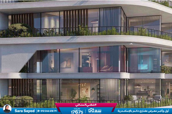 WhatsApp Image 2024-09-19 at 13.17.54_9d8ae3e2