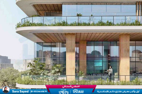 WhatsApp Image 2024-09-19 at 13.17.55_5807bf7c