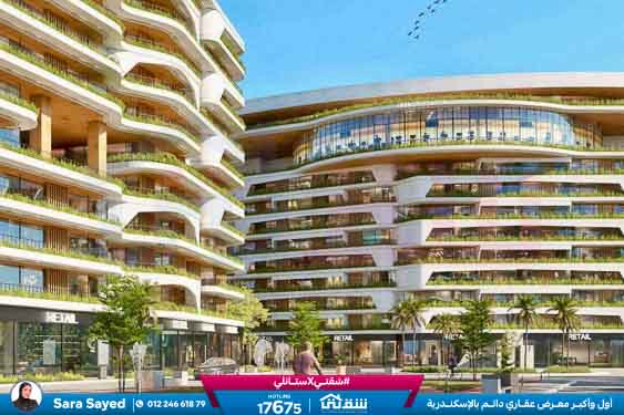 WhatsApp Image 2024-10-26 at 2.47.37 AM