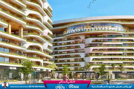 WhatsApp Image 2024-10-26 at 2.47.37 AM