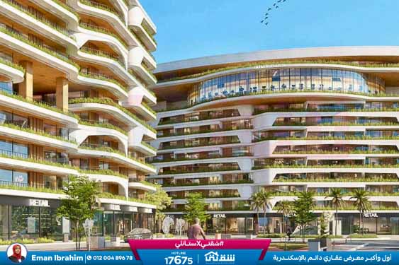 WhatsApp Image 2024-10-26 at 2.47.37 AM