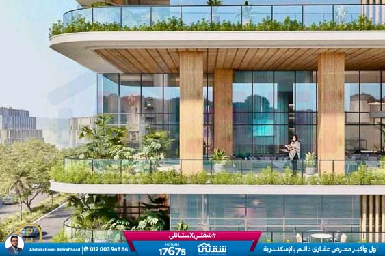 WhatsApp Image 2024-10-26 at 2.47.38 AM