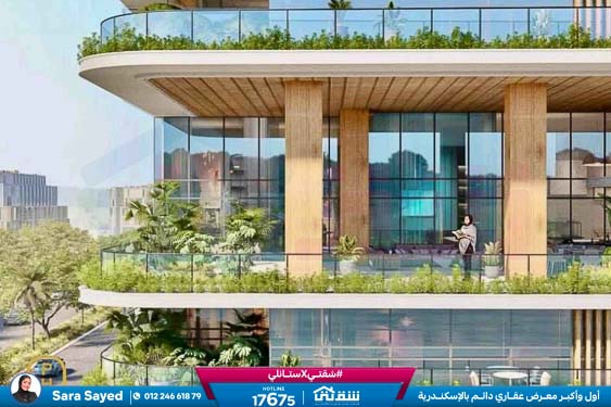 WhatsApp Image 2024-10-26 at 2.47.38 AM