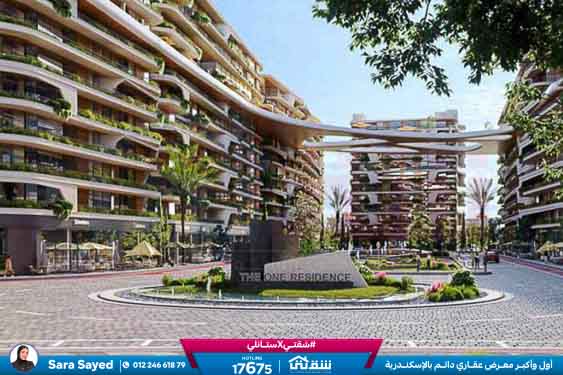 WhatsApp Image 2024-11-20 at 8.29.34 PM