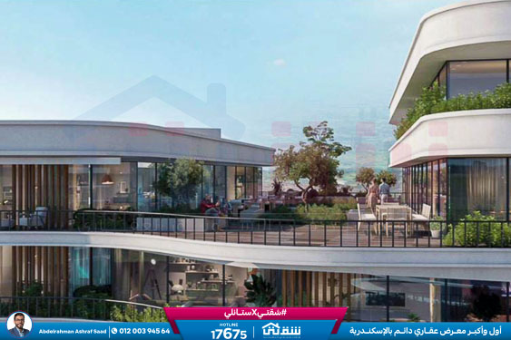 WhatsApp Image 2024-11-20 at 8.29.35 PM (1)