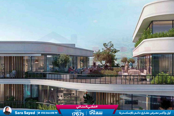 WhatsApp Image 2024-11-20 at 8.29.35 PM (1)