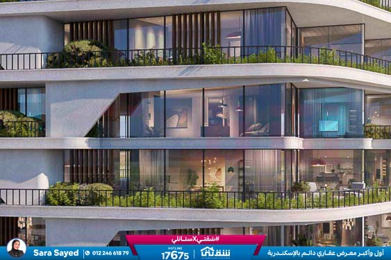 WhatsApp Image 2024-11-20 at 8.29.35 PM (2)