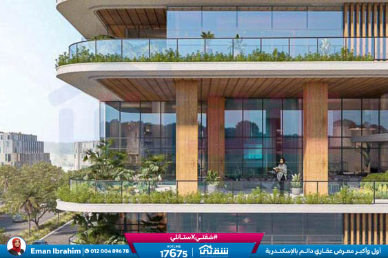 WhatsApp Image 2024-11-20 at 8.29.36 PM (1)