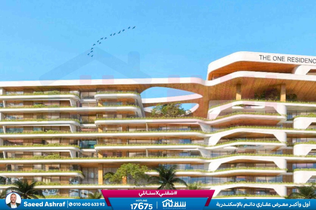 WhatsApp Image 2024-11-20 at 8.29.36 PM (2)