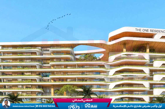 WhatsApp Image 2024-11-20 at 8.29.36 PM (2)