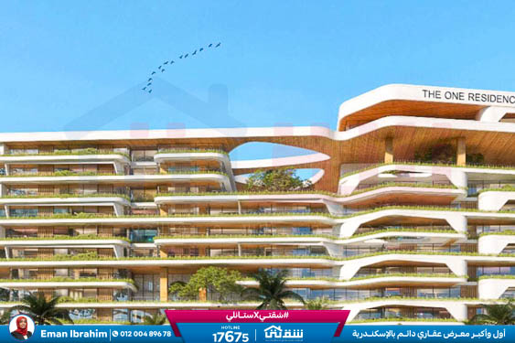 WhatsApp Image 2024-11-20 at 8.29.36 PM (2)