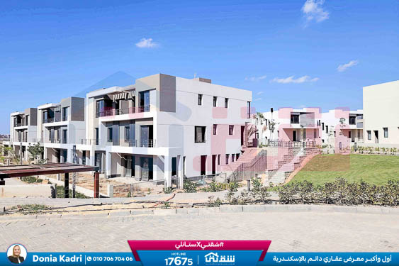 WhatsApp Image 2024-11-27 at 1.14.00 PM (1)