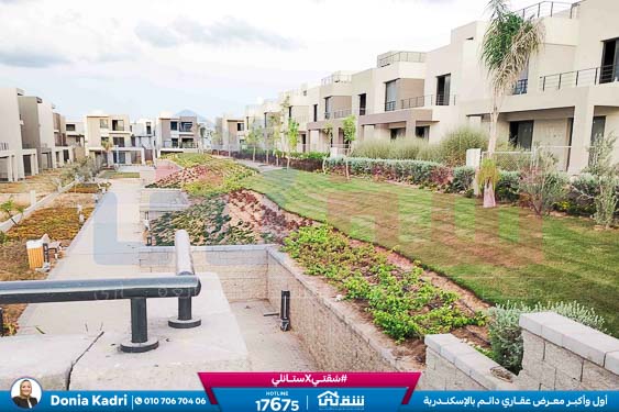 WhatsApp Image 2024-11-27 at 1.14.01 PM (3)