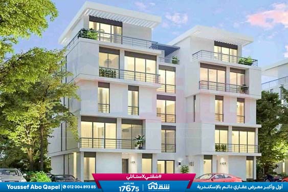 WhatsApp Image 2024-12-06 at 3.41.31 AM (1)