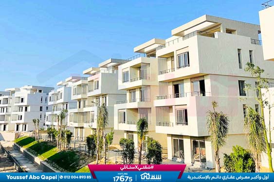 WhatsApp Image 2024-12-06 at 3.47.21 AM (1)