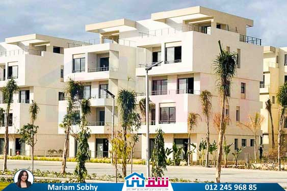 WhatsApp Image 2024-12-06 at 3.47.21 AM