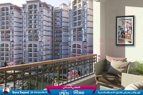 WhatsApp Image 2024-12-09 at 6.50.12 PM (1)