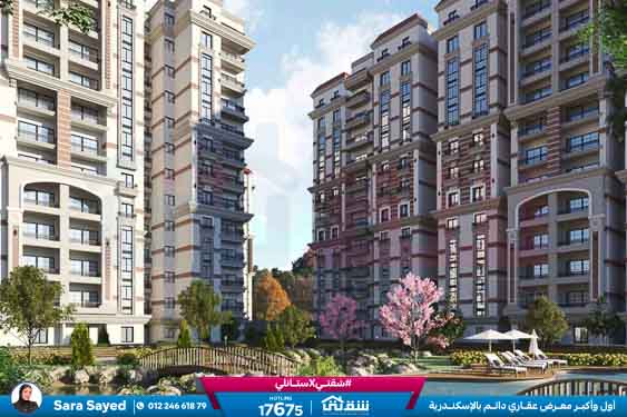 WhatsApp Image 2024-12-09 at 6.50.12 PM (2)