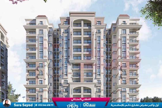 WhatsApp Image 2024-12-09 at 6.50.12 PM