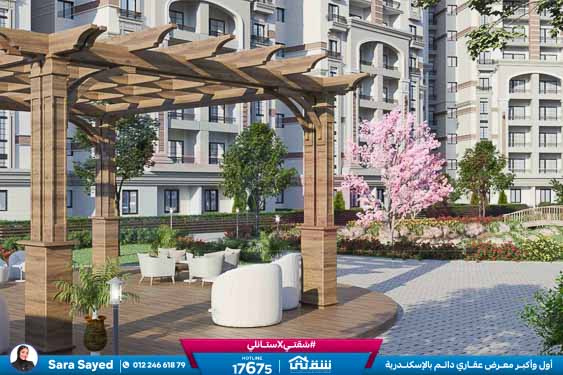 WhatsApp Image 2024-12-09 at 6.50.13 PM (1)