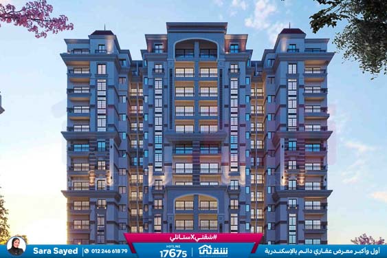 WhatsApp Image 2024-12-09 at 6.50.14 PM (1)