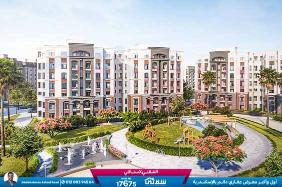 WhatsApp Image 2025-03-22 at 12.53.31 PM