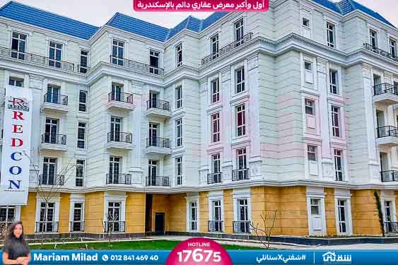 WhatsApp Image 2025-04-30 at 4.52.31 PM (1)