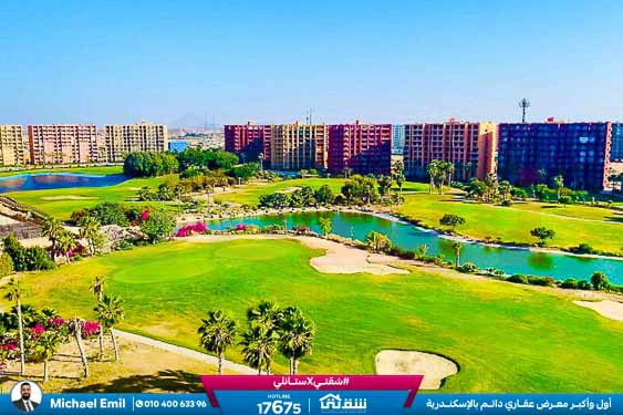 WhatsApp Image 2025-05-06 at 12.31.22 PM