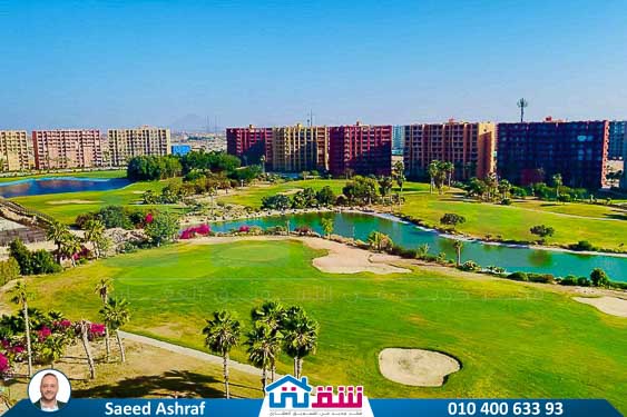 WhatsApp Image 2025-05-06 at 12.31.22 PM