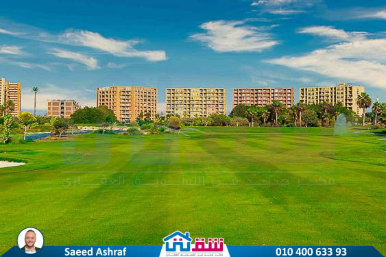 WhatsApp Image 2025-05-06 at 12.31.24 PM (1)