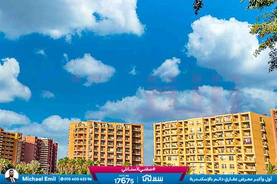 WhatsApp Image 2025-05-06 at 12.31.24 PM