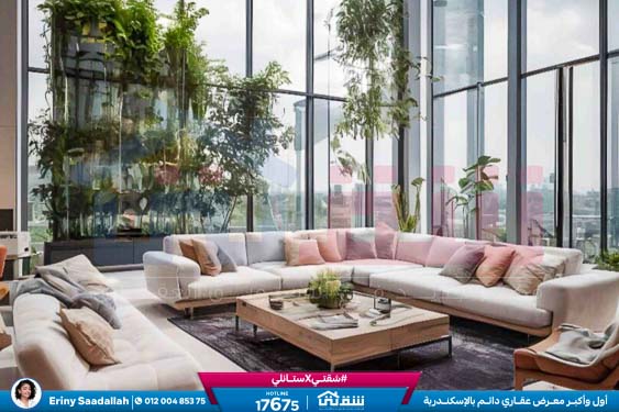 WhatsApp Image 2025-06-11 at 4.34.34 PM (1)