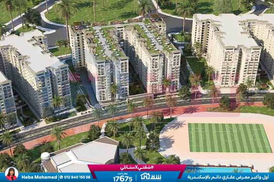 WhatsApp Image 2025-08-12 at 2.42.38 AM