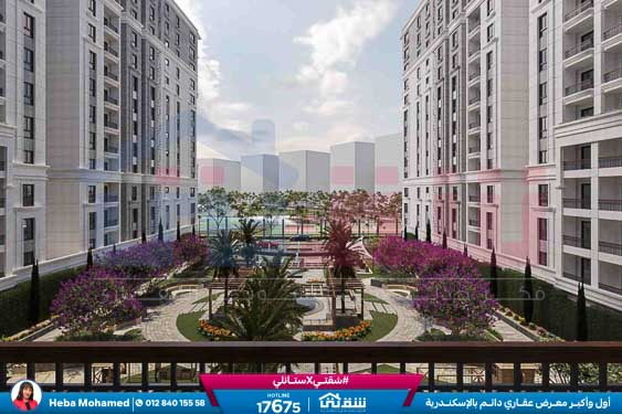 WhatsApp Image 2025-08-12 at 2.42.39 AM (3)