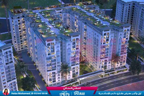 WhatsApp Image 2025-08-12 at 2.42.39 AM