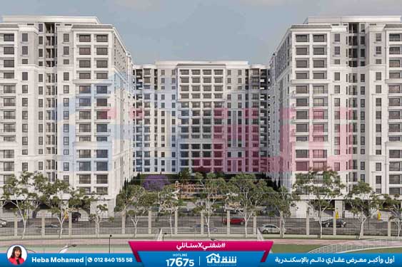 WhatsApp Image 2025-08-12 at 2.42.40 AM (2)