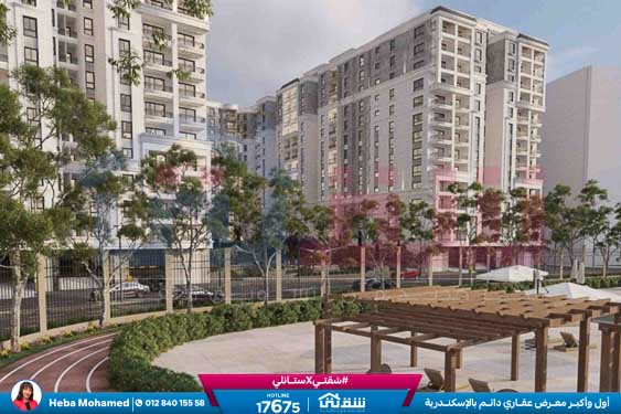 WhatsApp Image 2025-08-12 at 2.42.40 AM