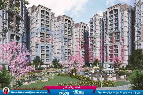 WhatsApp Image 2025-08-18 at 4.23.33 PM