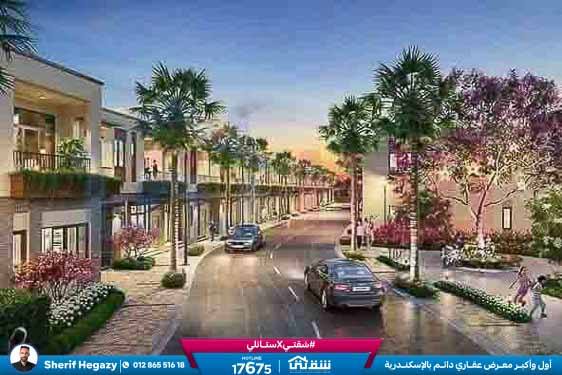 WhatsApp Image 2025-08-26 at 4.42.08 PM