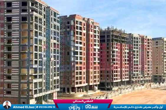 WhatsApp Image 2025-09-01 at 2.46.54 PM